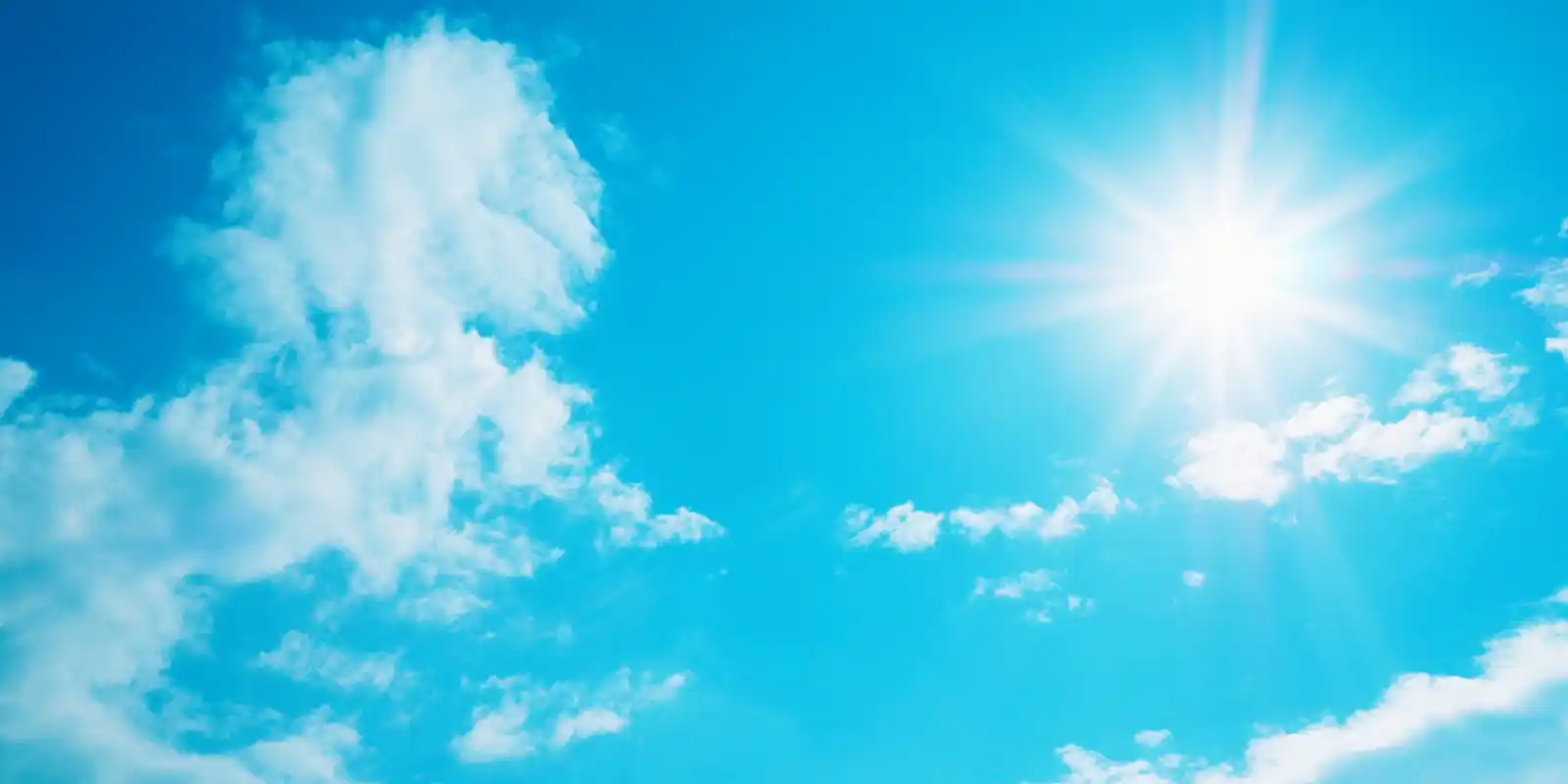 業務･ご依頼の流れ